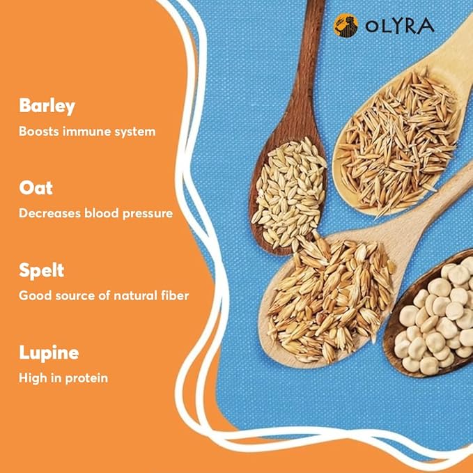 Olyra Organic Breakfast Biscuit Sandwiches | Greek Yogurt Blueberry | Kids Healthy Snacks, Low-Sugar, High Fiber | 4 Count (Pack of 1)